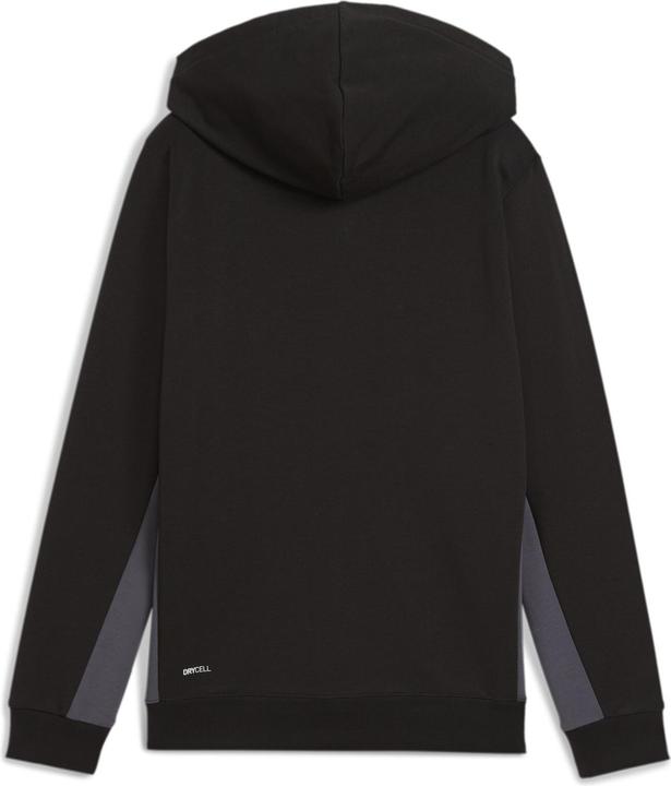 Actual product image Puma ACTIVE SPORTS Graphic Hoodie Full-Zip TR B (164)