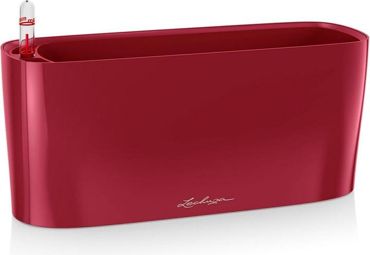Immagine prodotto Lechuza Delta 10 (11 cm)