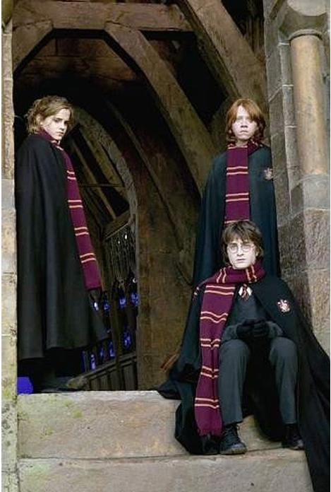 Immagine prodotto Cinereplicas Harry Potter Grifondoro