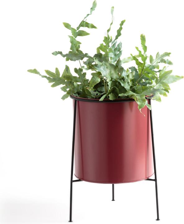 Actual product image La Redoute Interieurs Inaya (39 cm)