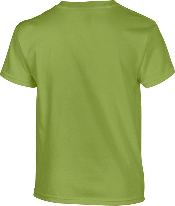 Actual product image Gildan Childrens/Kids Plain Cotton Heavy T-Shirt (104)