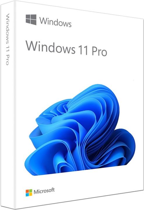Produktbild Microsoft Win Pro FPP 11 64-bit German 1 License USB Flash Drive Price Diff (1 User, unbegrenzt)