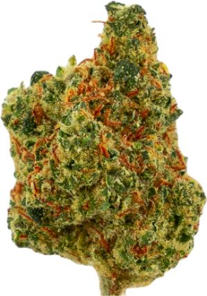 Produktbild Green Passion Fruit Punch Popcorn (10 g, Indoor)