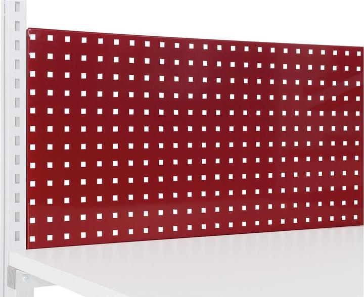 Actual product image Rocholz Hüdig+ perforated rear panel System Flex
