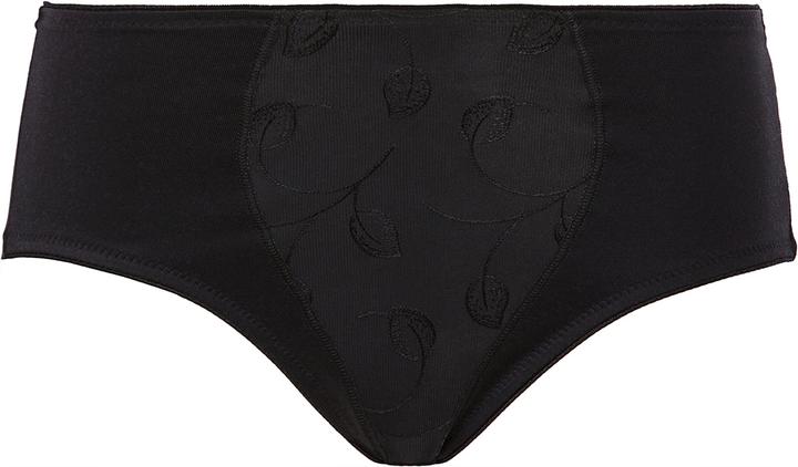 Actual product image Felina Emotions Waist Brief (48, 4XL, Single pack)