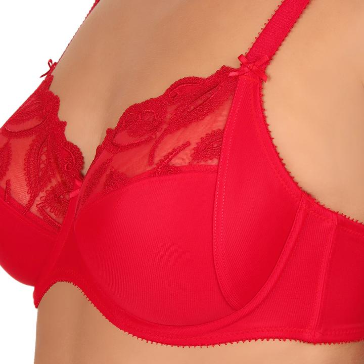 Immagine prodotto Felina Reggiseno con ferretto a scelta (80 B, Confezione singola)