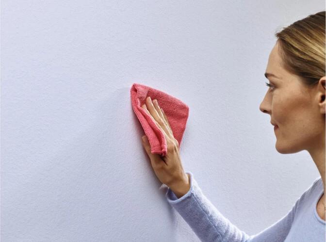 Immagine prodotto tesa carta da parati&intonaco