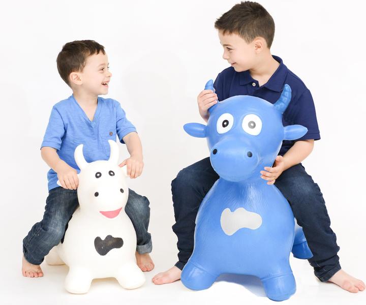 Actual product image Happy Hopperz XL Bull