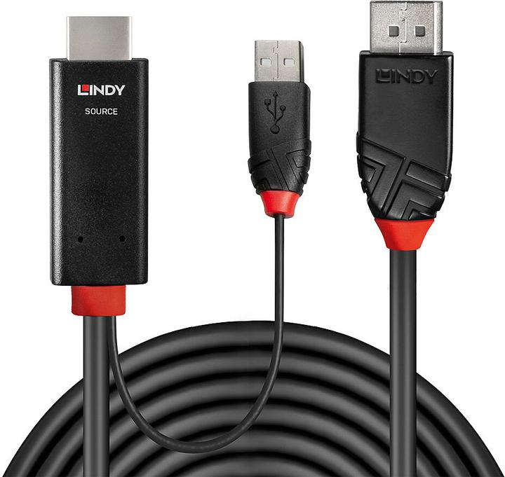 Actual product image Lindy HDMI to DisplayPort adapter cable (2 m, HDMI)