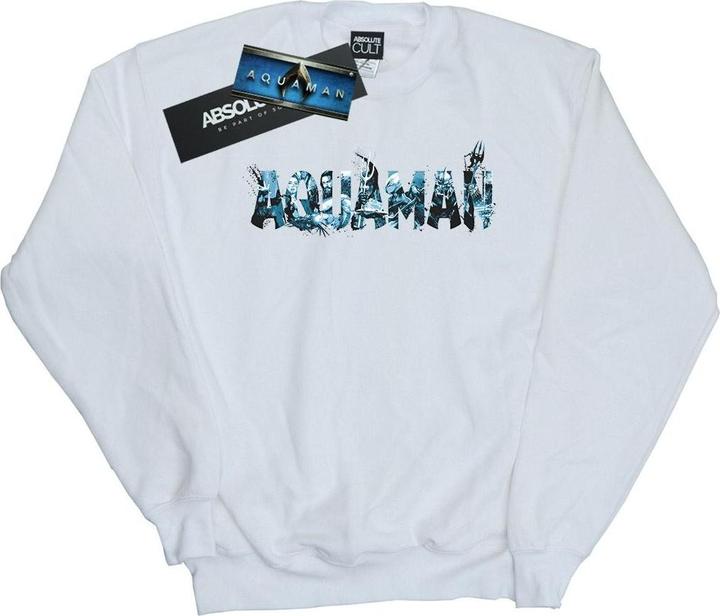 Produktbild Aquaman Text Logo Sweatshirt (L)