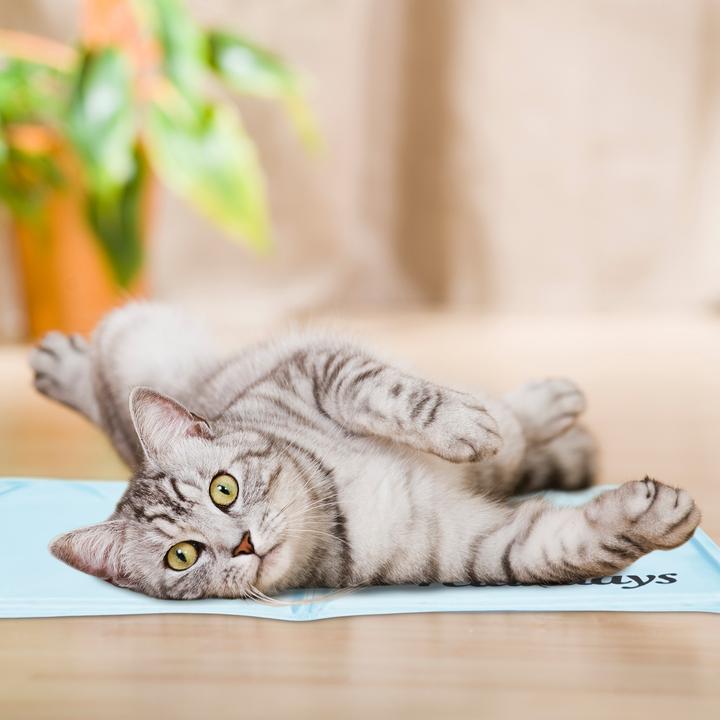 Actual product image Relaxdays Cooling mat (Dog)