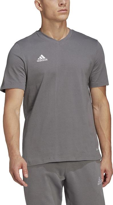 Actual product image adidas Entrada 22 T-shirt men (XXL)