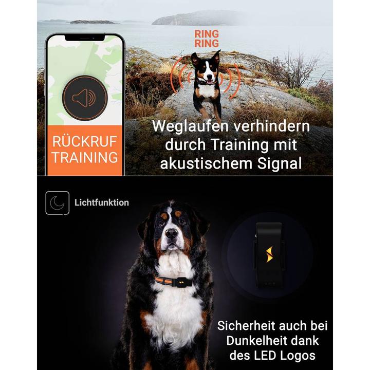 Image du produit PAJ GPS PET Finder 4G Tracker GSM Traceur pour animaux domestiques