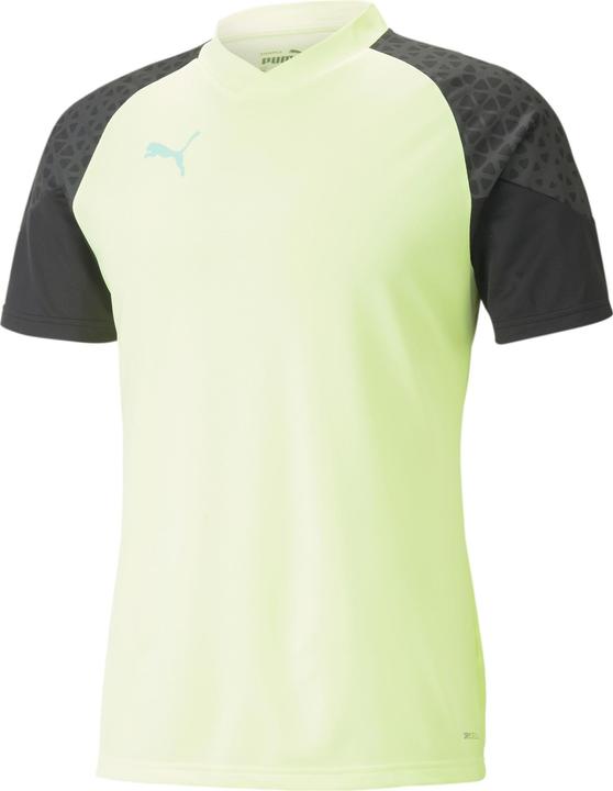 Puma individualCUP Training Jersey
