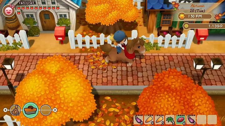 Actual product image Marvelous Story of Seasons: Friends Of Mineral Town (PS4, EN)