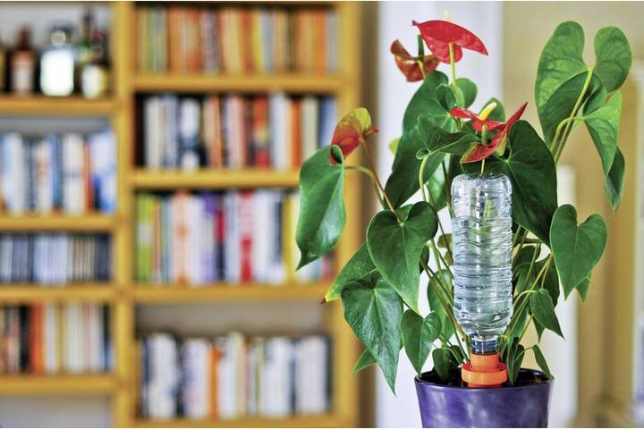 Actual product image Hozelock Holiday irrigation Aquasolo 27 (Clay cone)