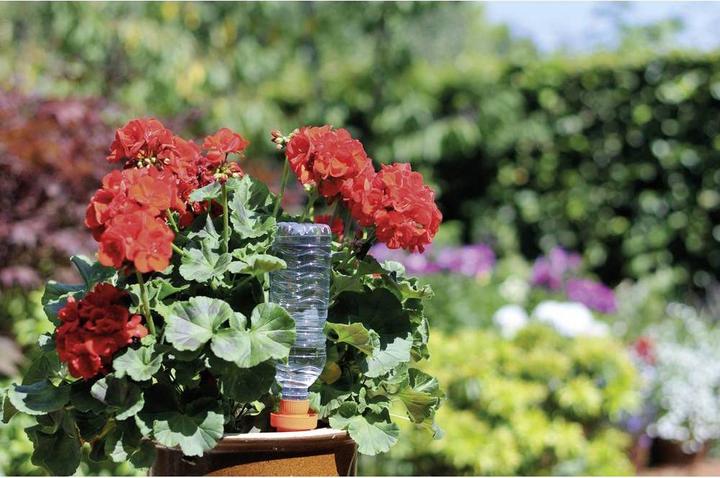 Actual product image Hozelock Holiday irrigation Aquasolo 27 (Clay cone)
