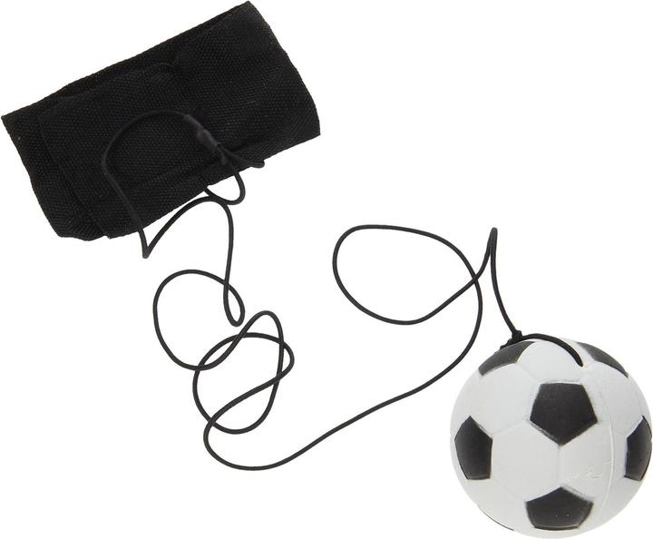 Image du produit Roost Bungee Ball Sport