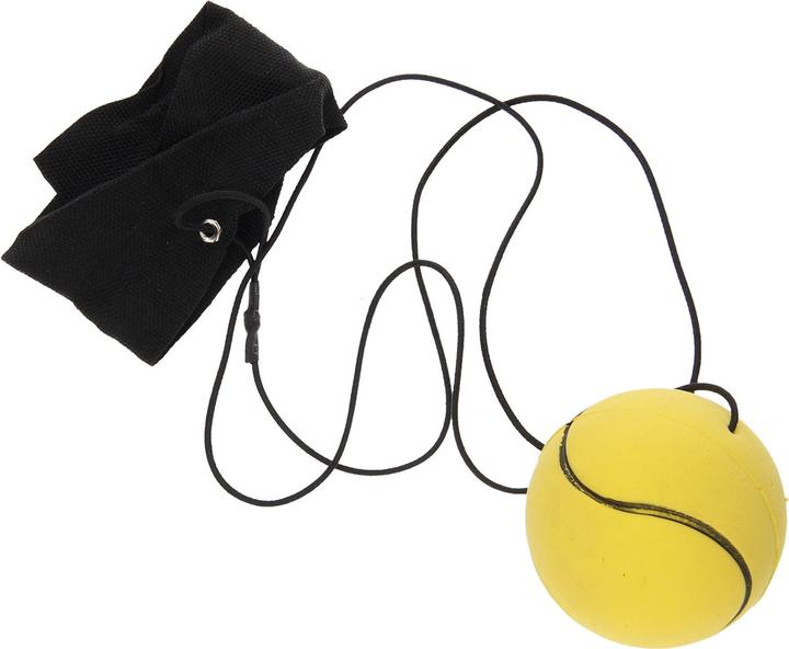 Image du produit Roost Bungee Ball Sport