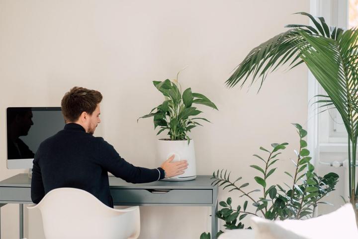 Image du produit Vitesy Natede Smart (20 m²)