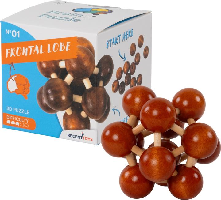 Produktbild Recent Toys Brain Puzzle Nr.1 Frontal Lobe (Deutsch)