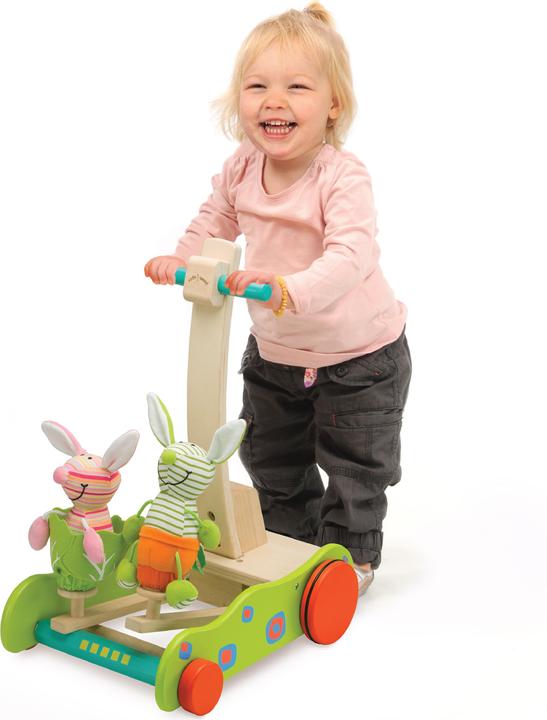 Actual product image Wonderworld Bunny Walker
