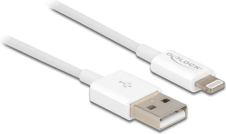 Immagine prodotto Delock Cavo di ricarica USB per iPhone 15 cm bianco (0.15 m, USB 2.0)