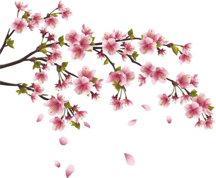 Image du produit Trenddeko branche de cerisier en fleurs (120 x 56 cm)