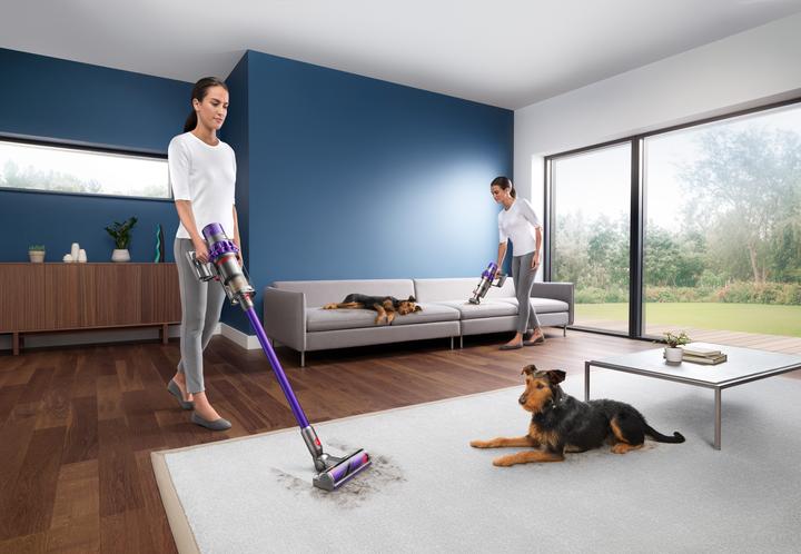 Image du produit Dyson Cyclone V10 Animal