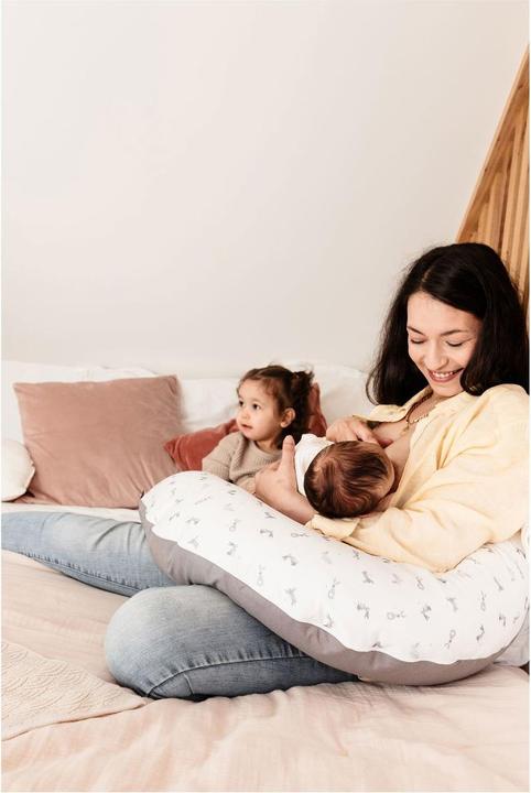 Actual product image Candide Multifunctional pregnancy cushion