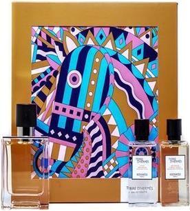 Image du produit Hermès Hermes Terre D'Hermes Eau de Toilette Spray 50mL Parfum Homme (Eau de toilette, 50 ml)