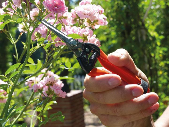 Immagine prodotto Garten Primus Forbici di meraviglia