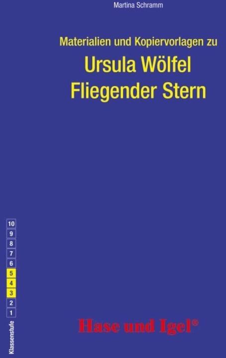 Produktbild Begleitmaterial: Fliegender Stern (Deutsch, Martina Schramm, Ursula Wölfel, 2020)