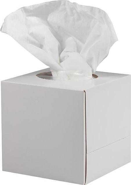 Actual product image Cosmetic Tissues Cube Box white
