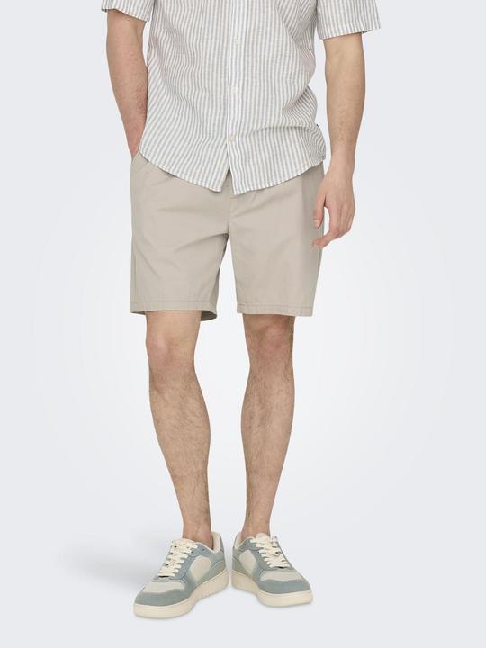 Actual product image Only & Sons Regular fit shorts Shorts (XL)