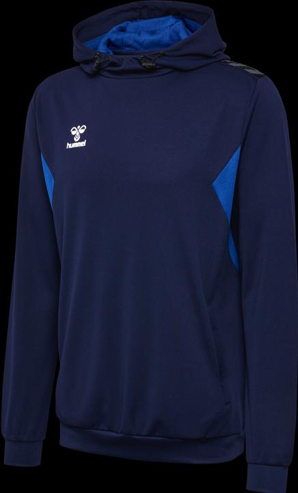 Image du produit hummel Hmlauthentic Pl Hoodie (S)