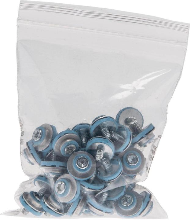 Actual product image HP Hard Disk Screws