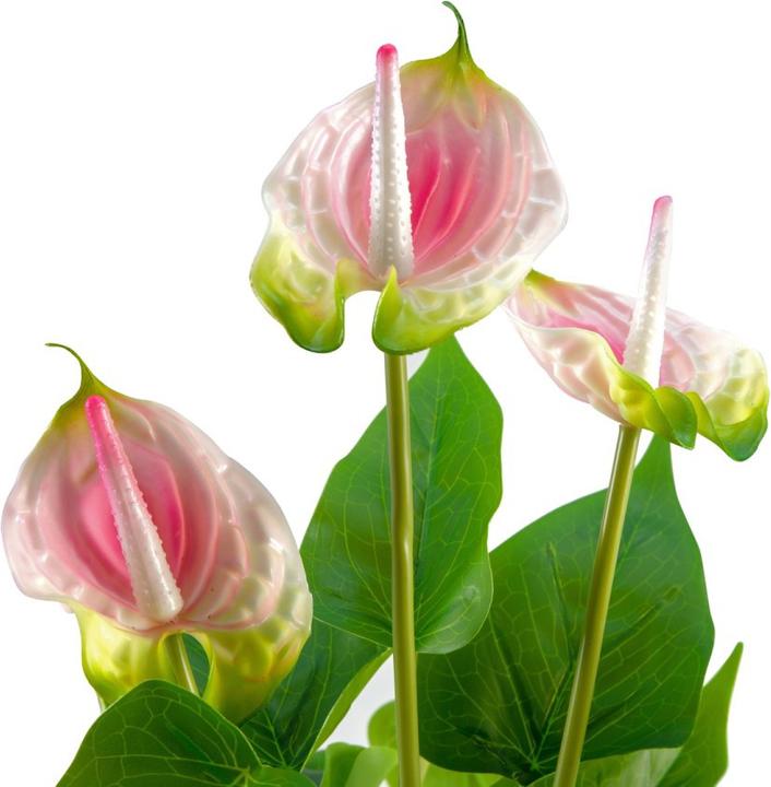 Image du produit Europalms Anthurium, plante artificielle, blanc rose