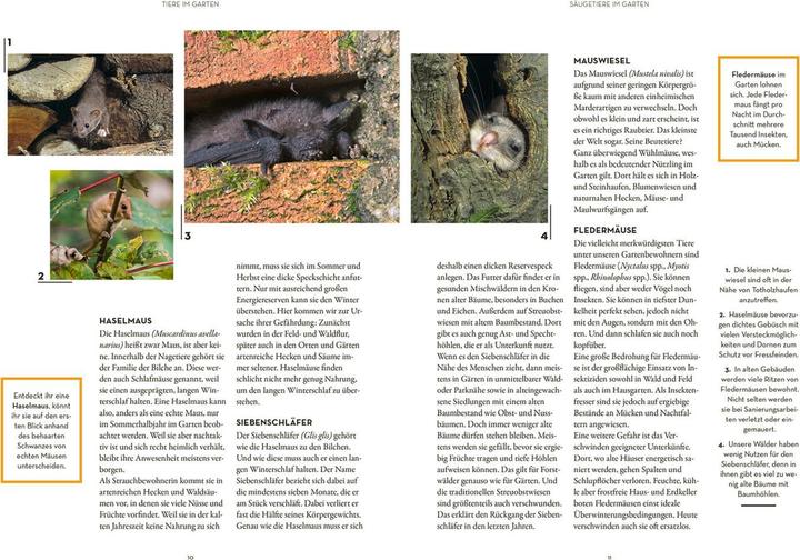 Produktbild Kosmos Tierisch guter Garten! (Deutsch, Mareike Fedders, 2022)