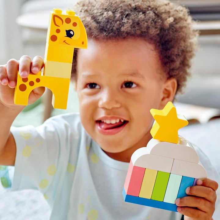 Immagine prodotto LEGO Tempo di costruzione creativa 10978 (10978)