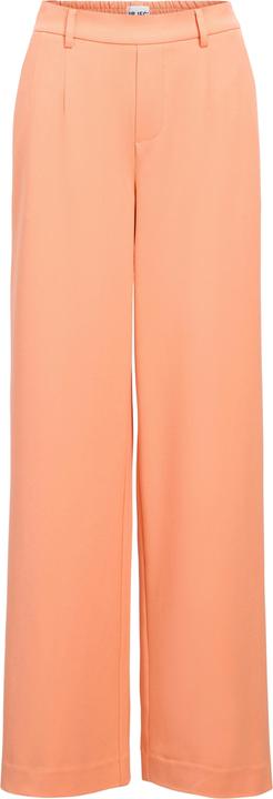 Object OBJLISA Hose (42)