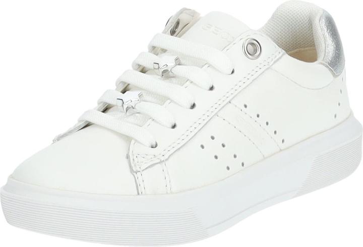 White/Silver