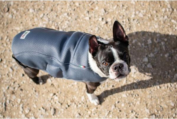Image du produit Chiara Frozy Cooling Jacke (3XL, Gilet de sauvetage pour chien)