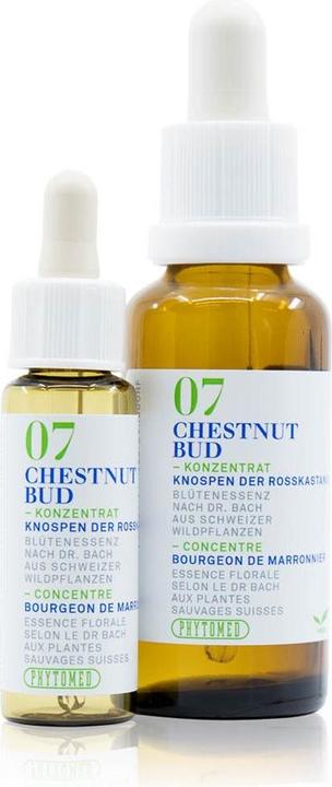 Immagine prodotto Phytomed Bachblüten No7 Knospen der Rosskastanie (1 Pezzo/i, Liquido, 24 g)