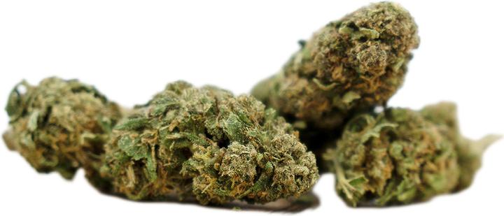 Immagine prodotto Herba di Berna Orangello (45 g, Esterno)
