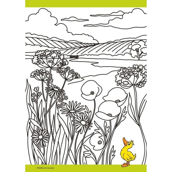 Actual product image Die Maus - Malblock mit Sachwissen Klima und Erde (German, pen2nature, Fiona Osbaldstone, 2024)
