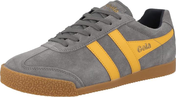 Gola Harrier (41)