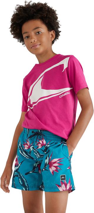Produktbild O'Neill Print (176)