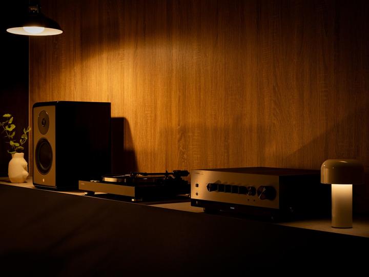 Immagine prodotto Yamaha TT-S 303 (Manuale)
