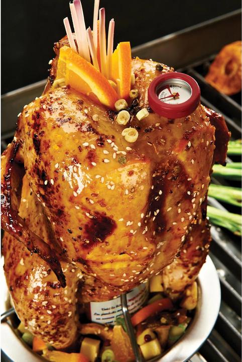 Image du produit Broil King Râtelier à rôtir Hänchen